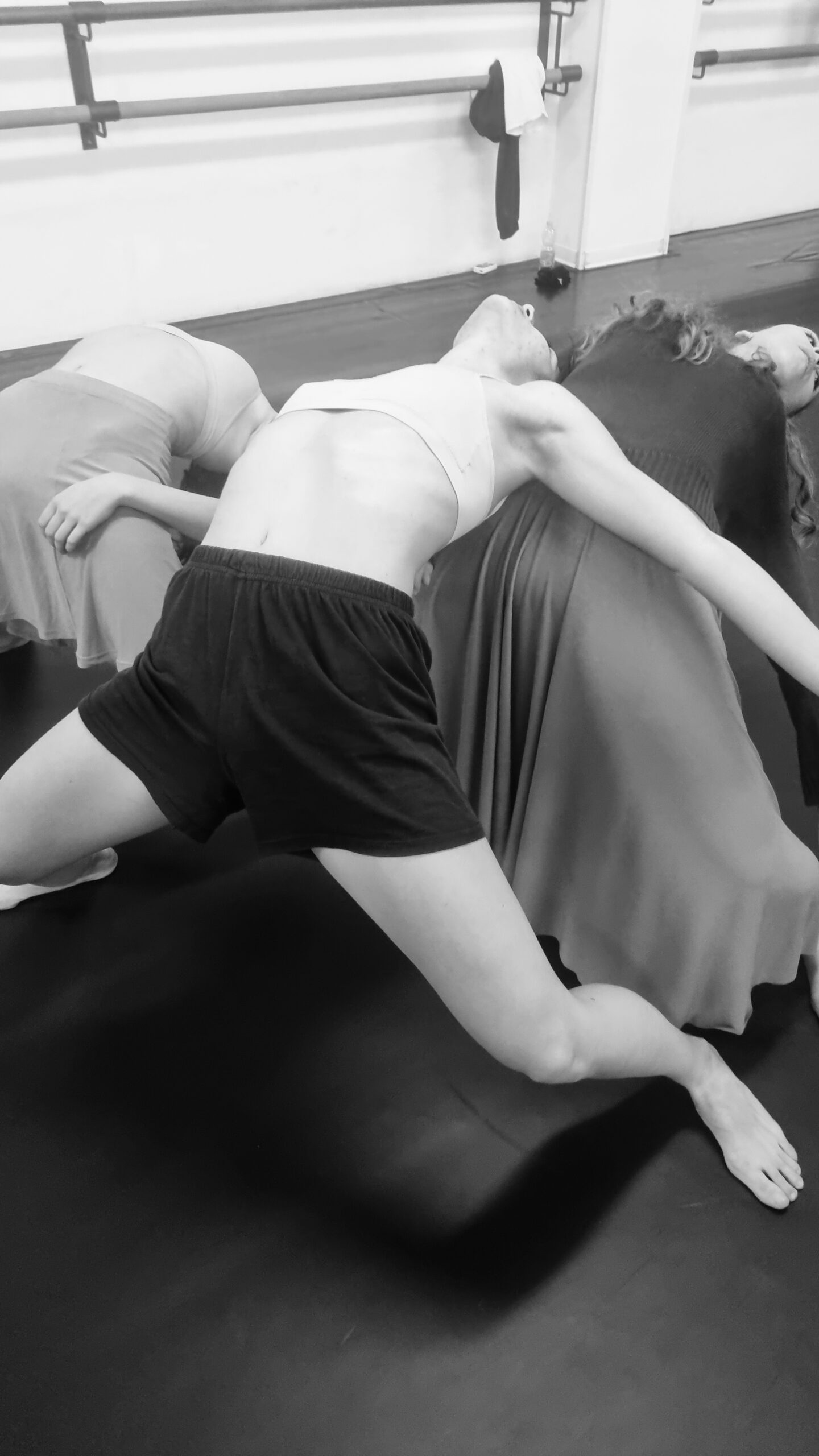 Immagine in evidenza